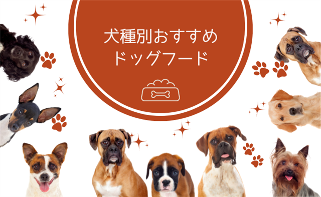 犬種別おすすめドッグフード